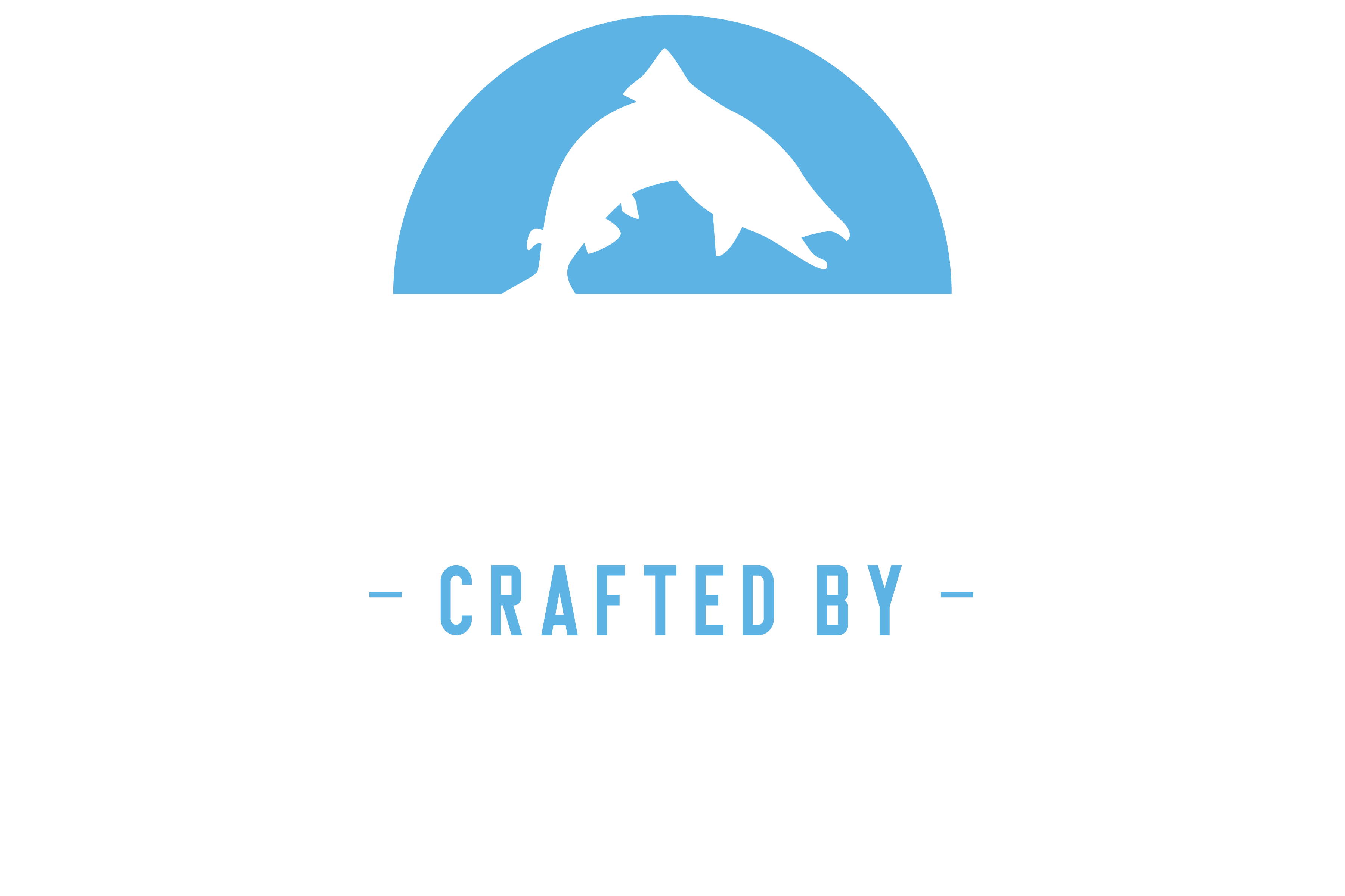 Chinook-Logo-Blue-White